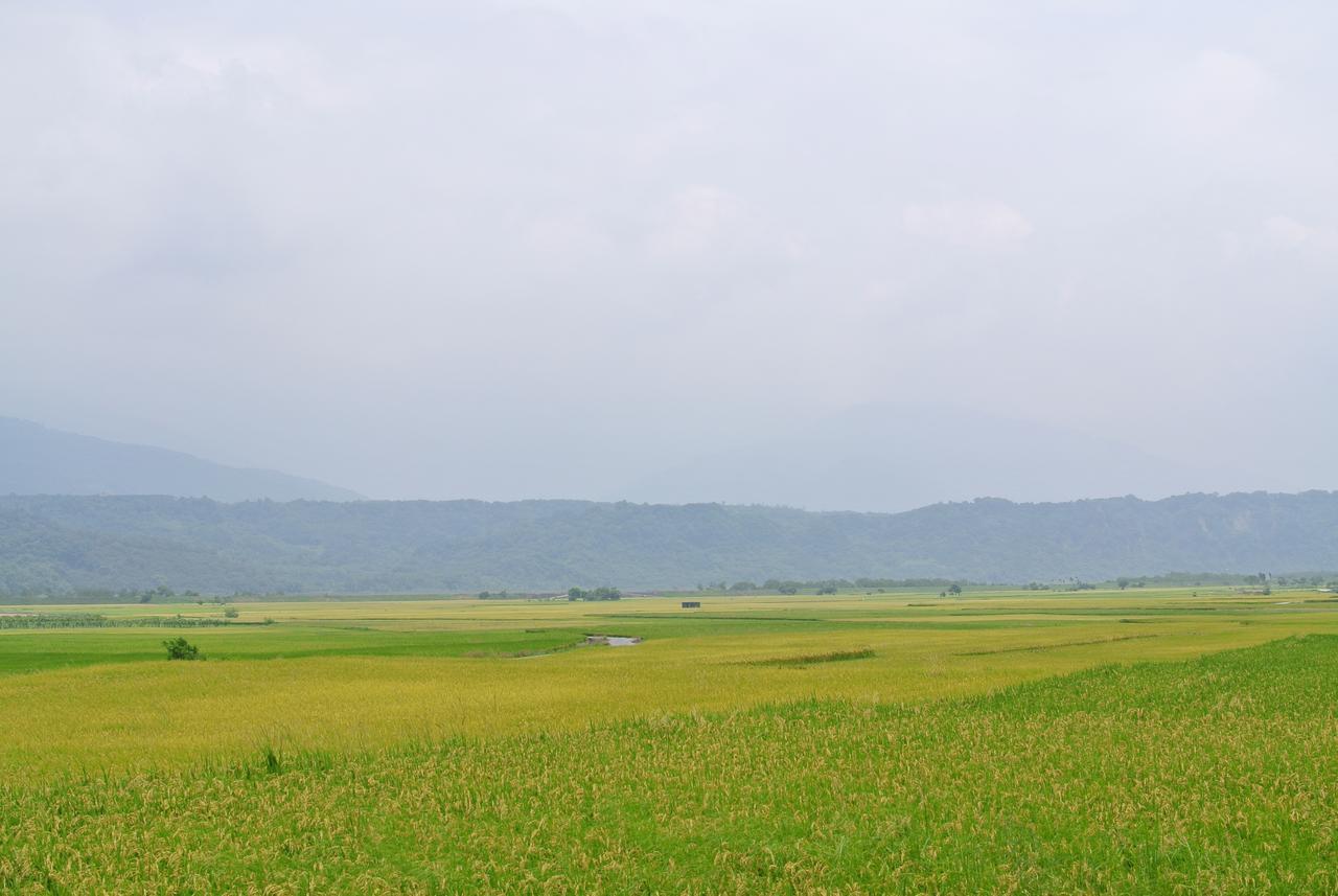 يولي Pu Shi Homestay المظهر الخارجي الصورة